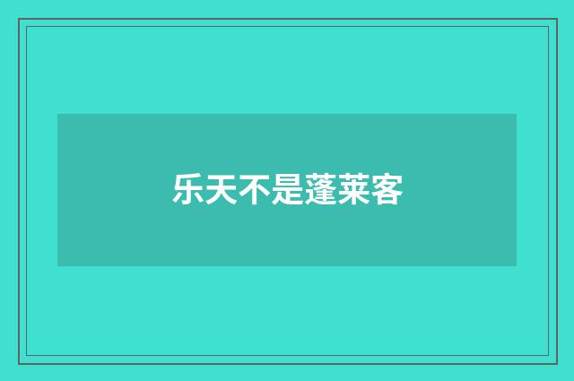 乐天不是蓬莱客