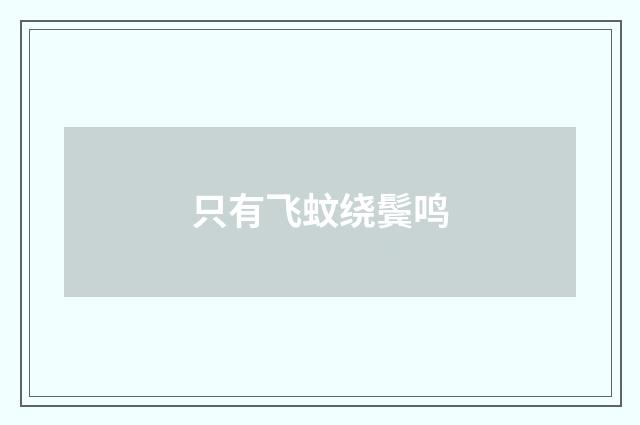 只有飞蚊绕鬓鸣