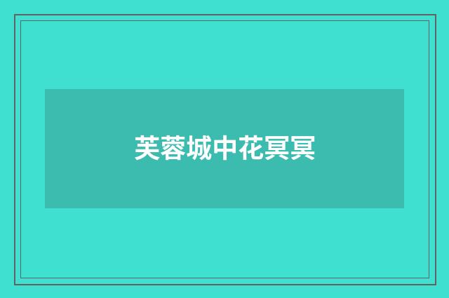 芙蓉城中花冥冥