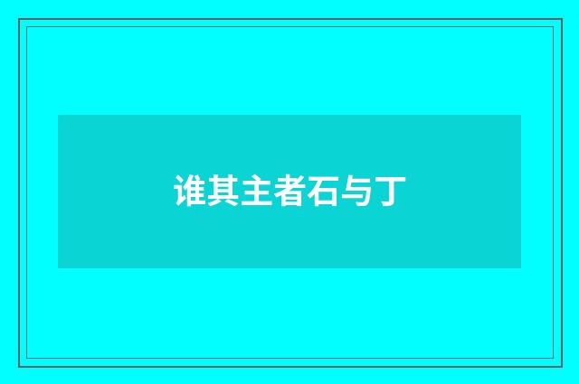 谁其主者石与丁