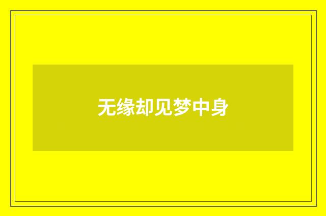 无缘却见梦中身
