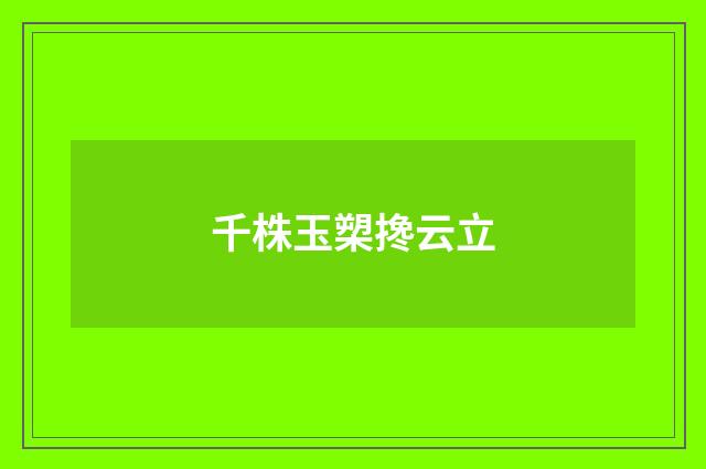 千株玉槊搀云立