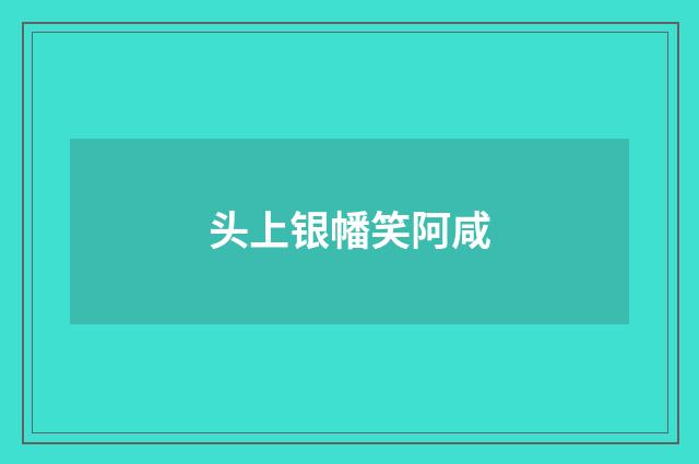 头上银幡笑阿咸
