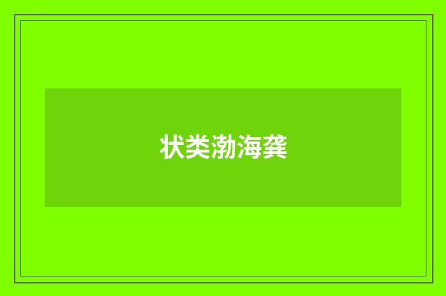 状类渤海龚