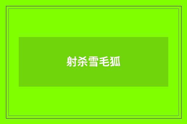 射杀雪毛狐