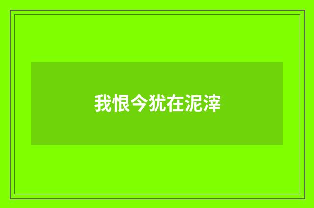 我恨今犹在泥滓