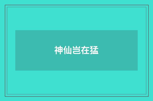神仙岂在猛