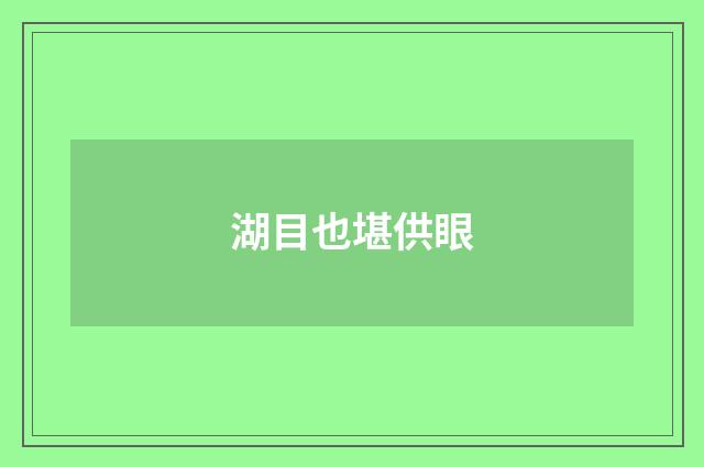 湖目也堪供眼