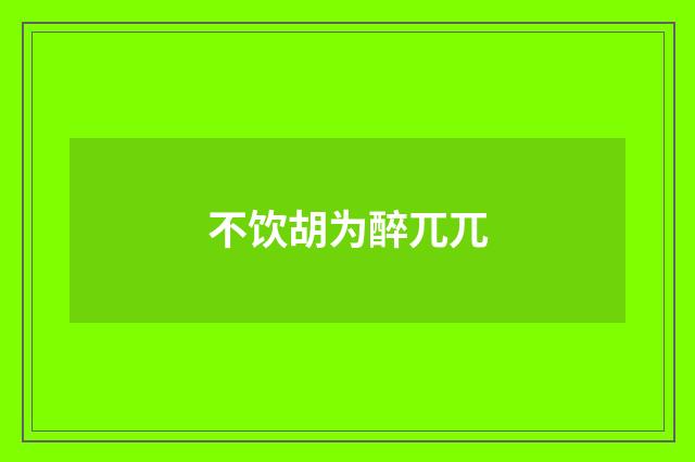 不饮胡为醉兀兀