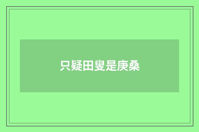 只疑田叟是庚桑
