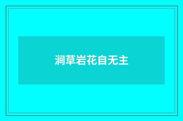 涧草岩花自无主