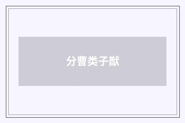 分曹类子猷