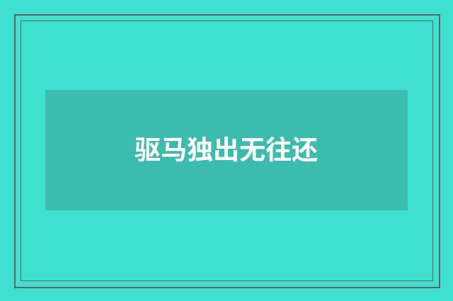 驱马独出无往还