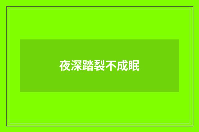 夜深踏裂不成眠