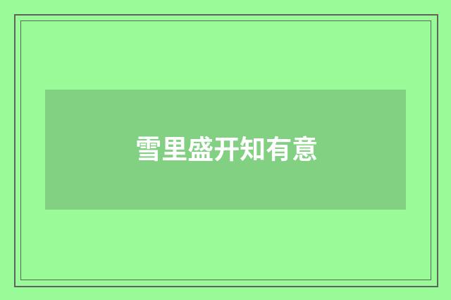 雪里盛开知有意