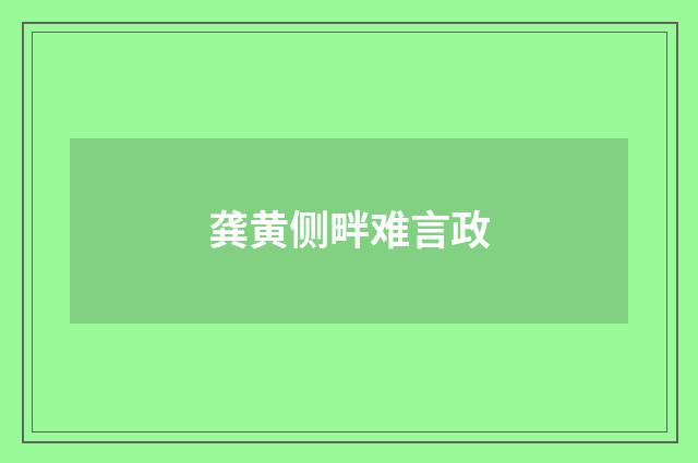 龚黄侧畔难言政