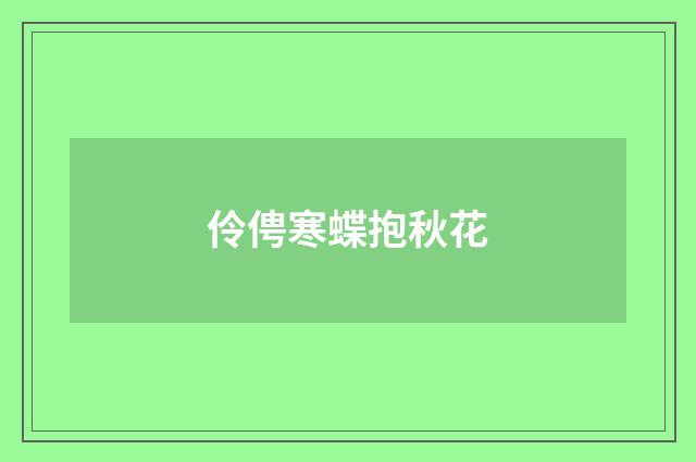 伶俜寒蝶抱秋花