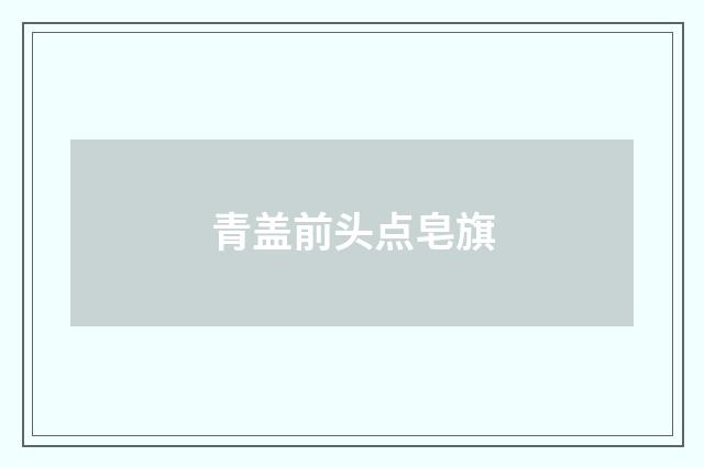 青盖前头点皂旗
