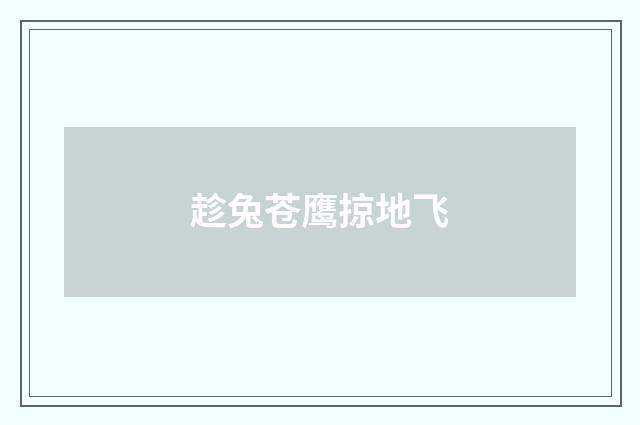 趁兔苍鹰掠地飞