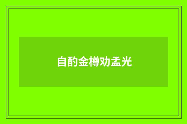 自酌金樽劝孟光