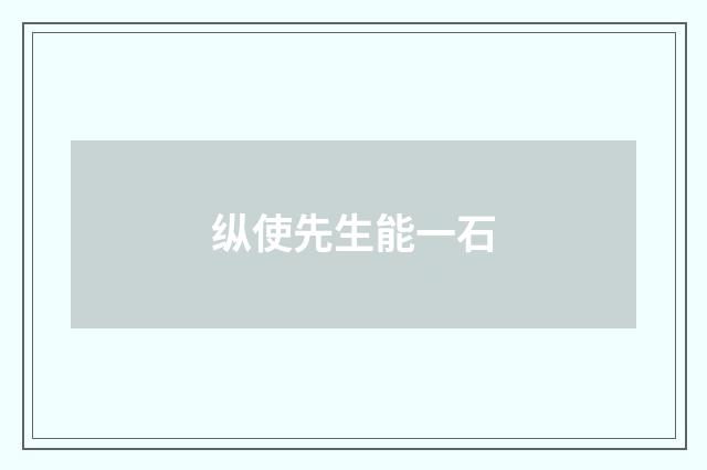 纵使先生能一石