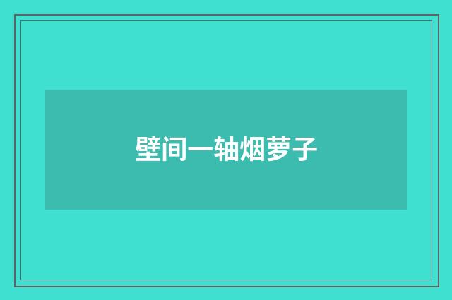 壁间一轴烟萝子
