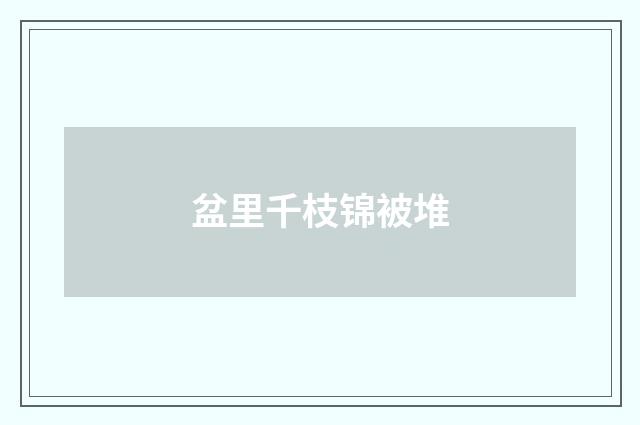 盆里千枝锦被堆