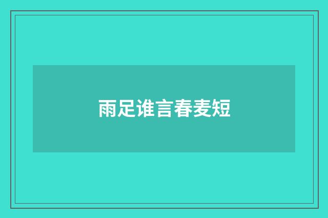 雨足谁言春麦短