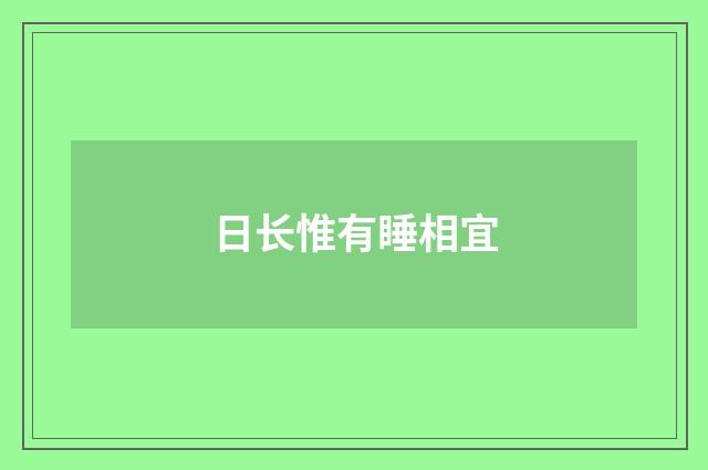 日长惟有睡相宜