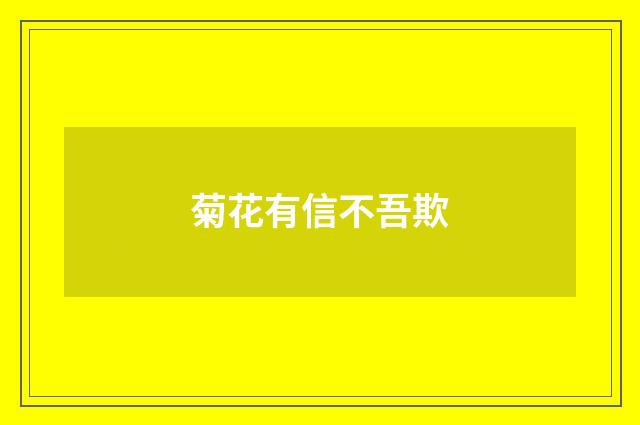 菊花有信不吾欺