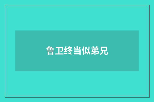 鲁卫终当似弟兄