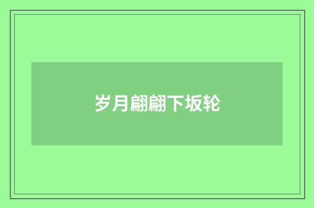 岁月翩翩下坂轮