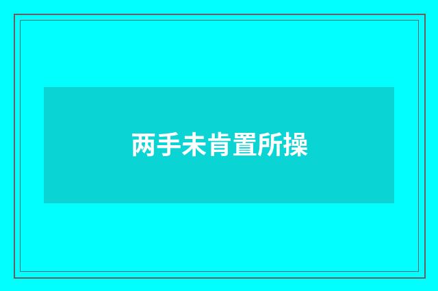 两手未肯置所操