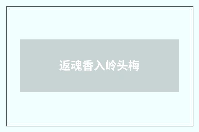 返魂香入岭头梅