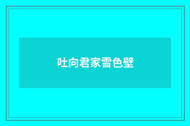 吐向君家雪色壁
