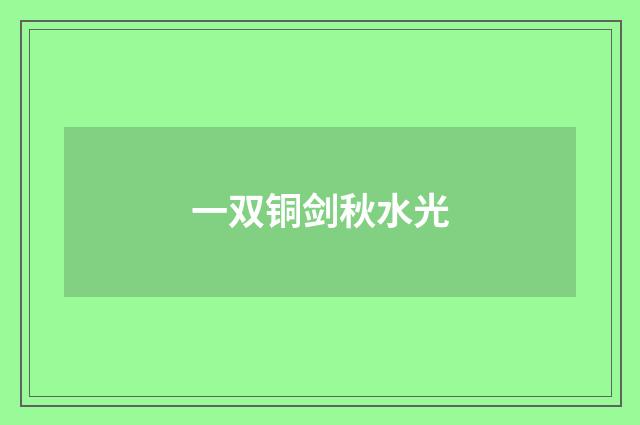 一双铜剑秋水光