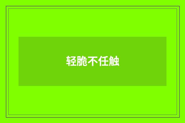 轻脆不任触