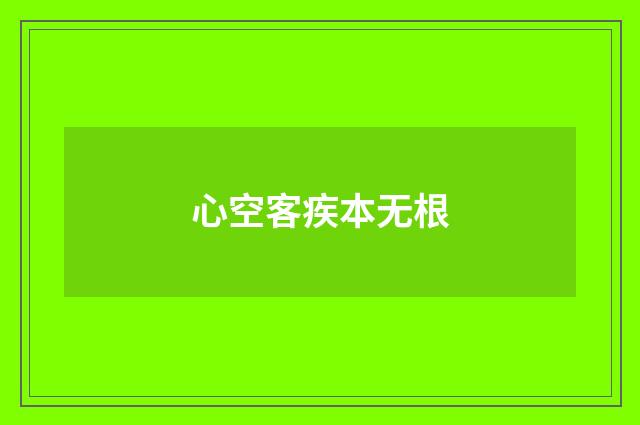 心空客疾本无根