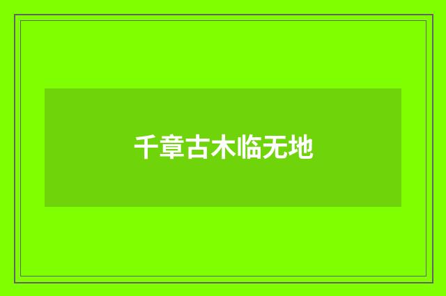 千章古木临无地