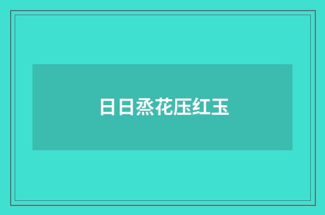 日日烝花压红玉