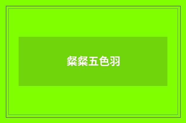 粲粲五色羽