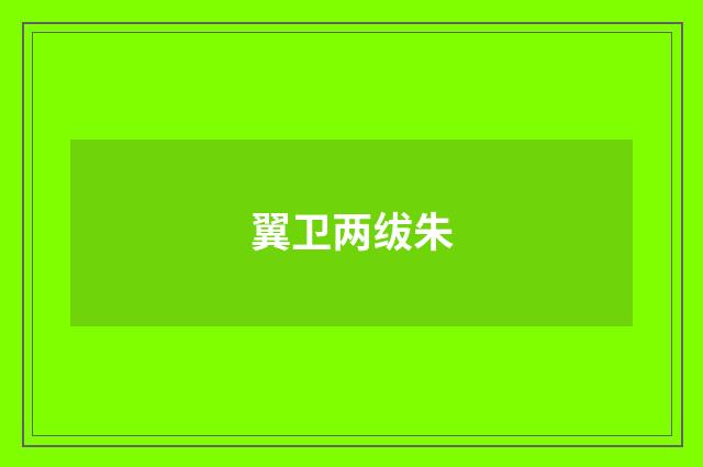 翼卫两绂朱