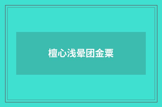 檀心浅晕团金粟