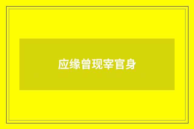 应缘曾现宰官身