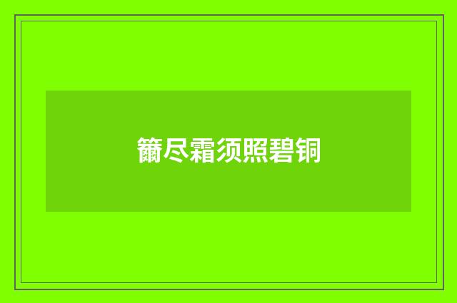 籋尽霜须照碧铜