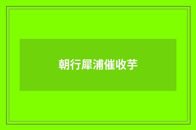 朝行犀浦催收芋