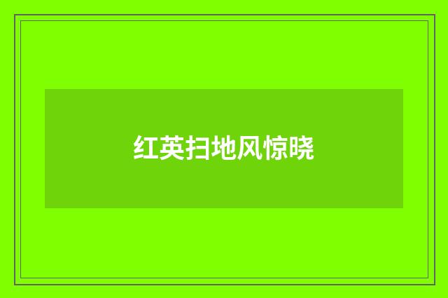 红英扫地风惊晓
