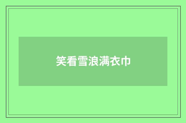 笑看雪浪满衣巾