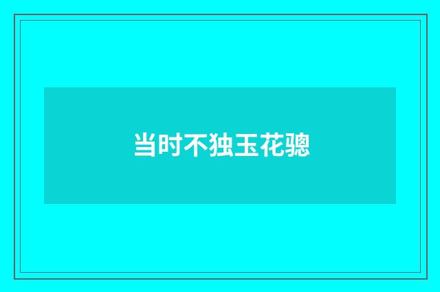 当时不独玉花骢