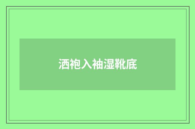 洒袍入袖湿靴底